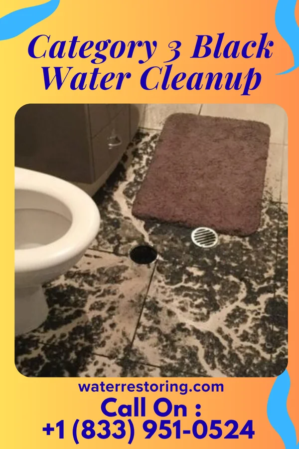 Category 3 Black Water Cleanup in Wilson, WI