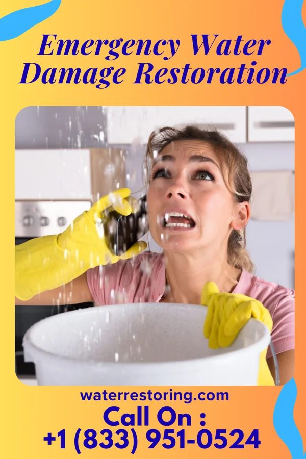 Emergency Water Damage Restoration in Wilson, WI