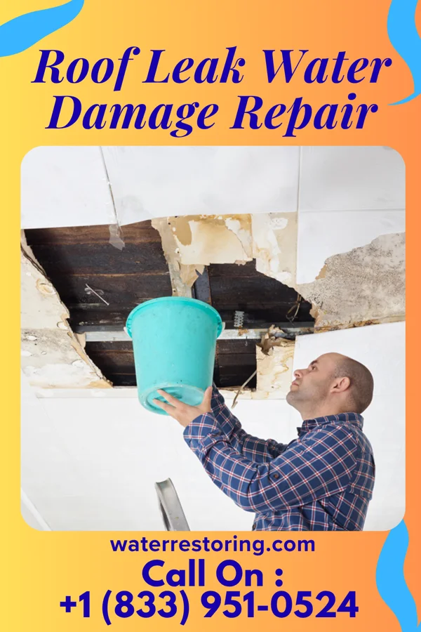 Roof Leak Water Damage Repair in Wilson, WI