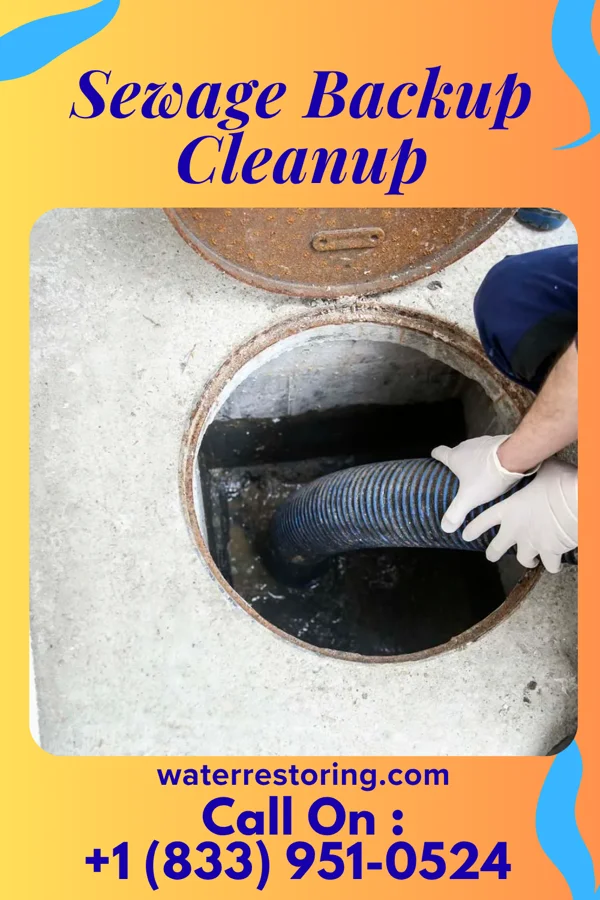 Sewage Backup Cleanup in Wilson, WI